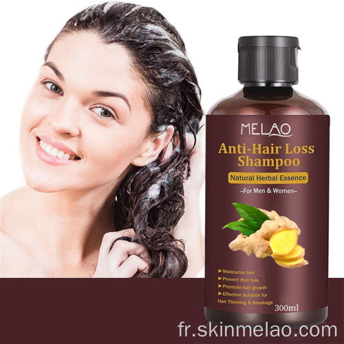 Shampooing de croissance des cheveux Polygonum Multiflorum Ginger Rebrowth